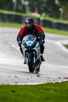 PJ-Motorsport-Photography-2020;anglesey;brands-hatch;cadwell-park;croft;donington-park;enduro-digital-images;event-digital-images;eventdigitalimages;mallory;no-limits;oulton-park;peter-wileman-photography;racing-digital-images;silverstone;snetterton;trackday-digital-images;trackday-photos;vmcc-banbury-run;welsh-2-day-enduro